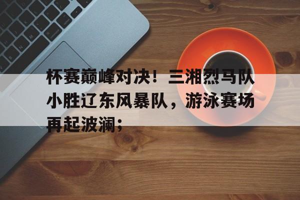 一竞技- 82式凤凰剑全套演练带口令 